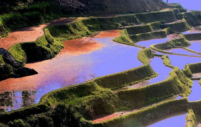 The Most Beautiful Terraced Rice Fields (36 pics)