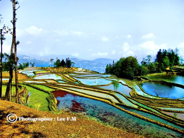 The Most Beautiful Terraced Rice Fields (36 pics)