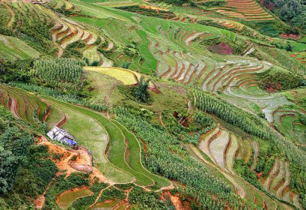 The Most Beautiful Terraced Rice Fields (36 pics)