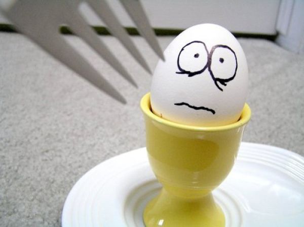The Wonderful and Secret World of Eggs. Part 2 (64 pics)