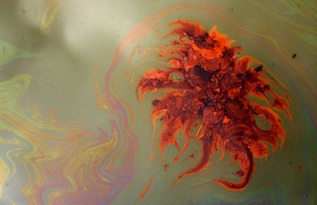 Oil Leak. Two Months Later… (37 pics)