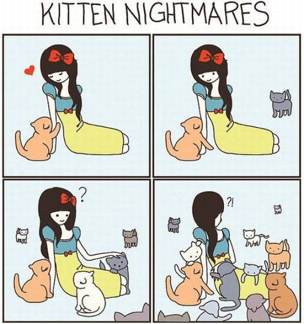 Kitten Nightmares (2 pics)