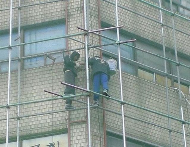 The Best Experts in Safety. Part 2 (44 pics)