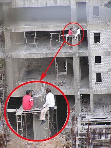The Best Experts in Safety. Part 2 (44 pics)