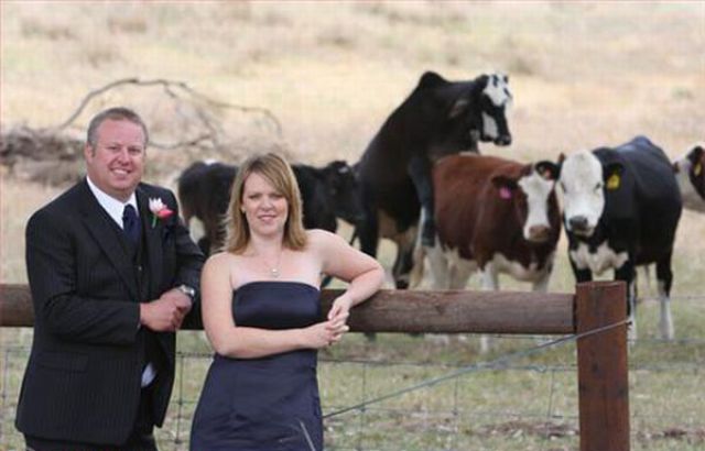 Wedding Photos Gone Wrong (31 pics)