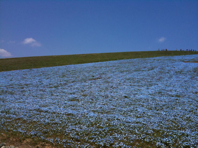 When the Sky Fell on the Ground (17 pics)