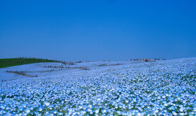 When the Sky Fell on the Ground (17 pics)