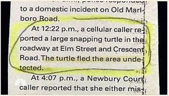 Hilarious Police Blotters (30 pics)