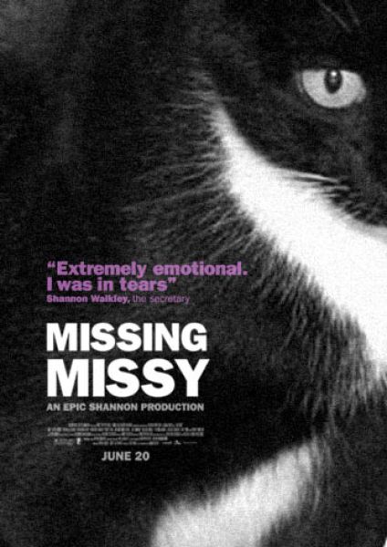 Hilarious Missing Cat Posters (19 pics)