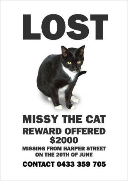 Hilarious Missing Cat Posters (19 pics)