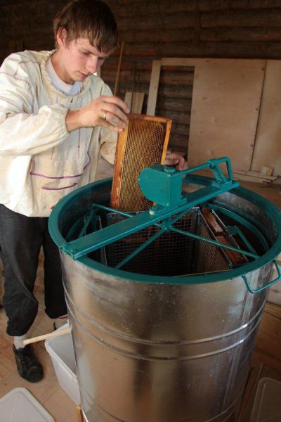 Honey Extraction (21 pics)