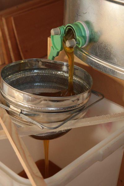 Honey Extraction (21 pics)