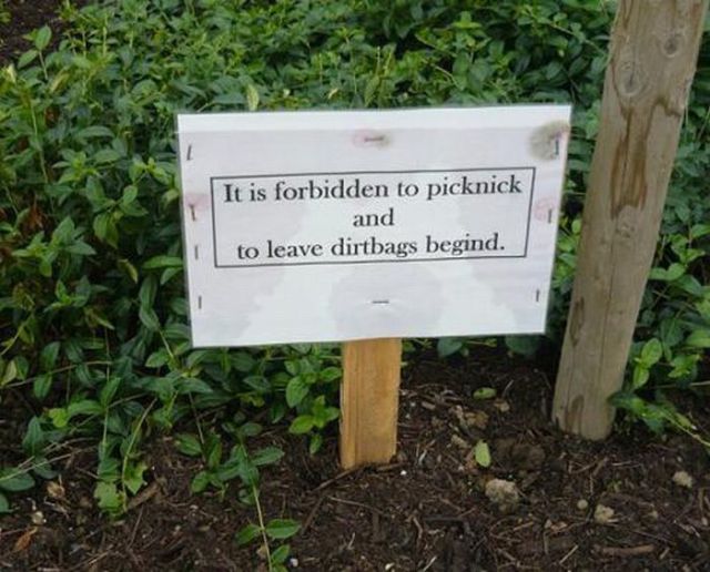 When International Signs Are Automatically Translated (75 pics)