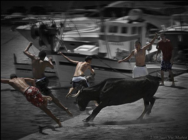 The Running of the Bulls (25 pics)