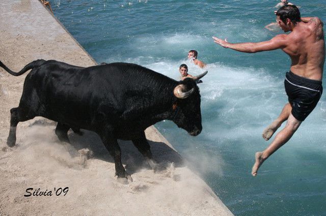 The Running of the Bulls (25 pics)