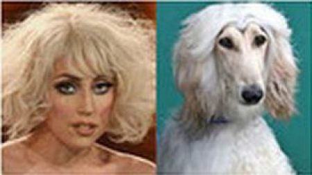 Celebrities And Pets 640 01 
