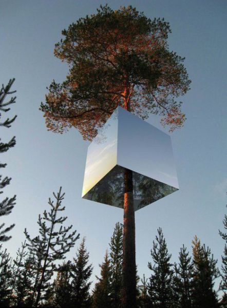 Hotels on Swedish Trees (14 pics)