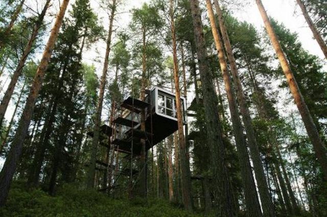 Hotels on Swedish Trees (14 pics)