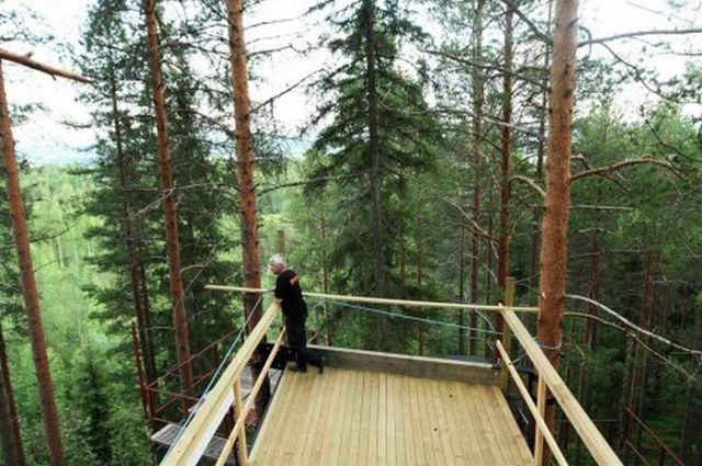 Hotels on Swedish Trees (14 pics)