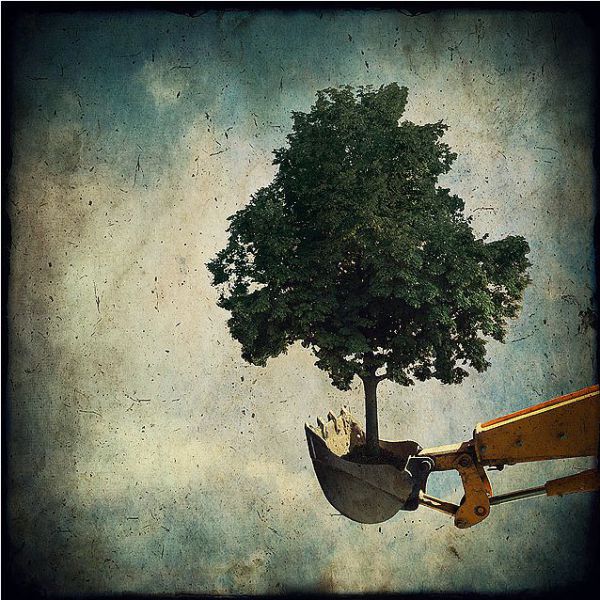 Beautiful Surreal Photo-Manipulations (48 pics)