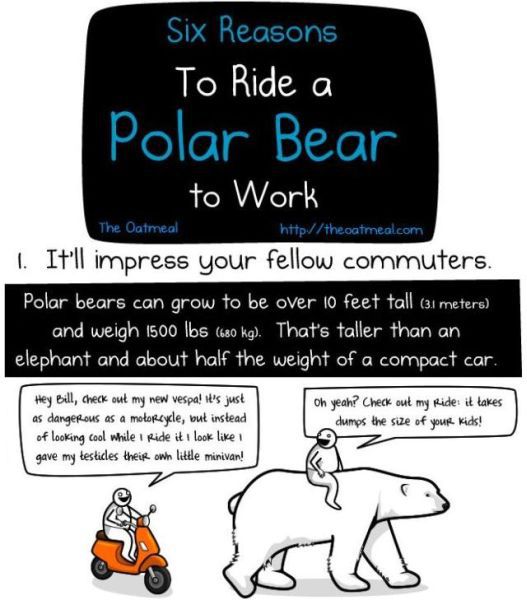 Why You Should Ride a Bear to Go to Work! (1 pic)