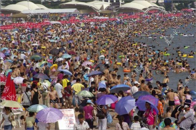 When Beach Gets Overcrowded (10 pics)