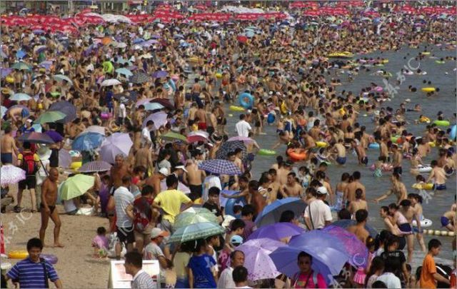 When Beach Gets Overcrowded (10 pics)