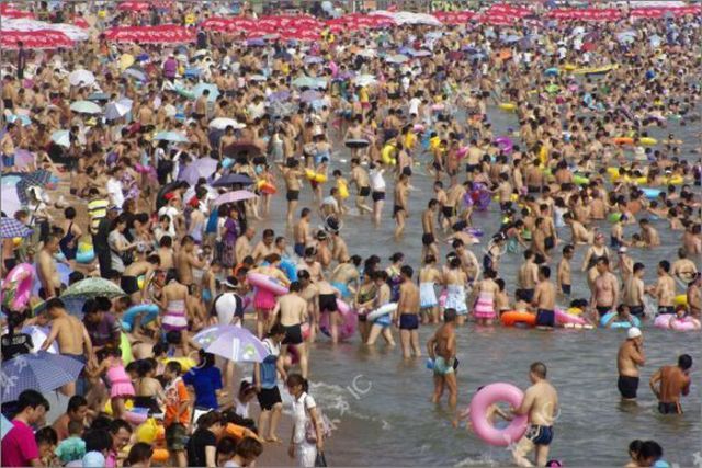 When Beach Gets Overcrowded (10 pics)