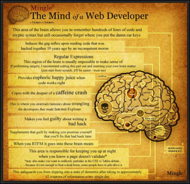 The Mind of Web Developer (1 pic)