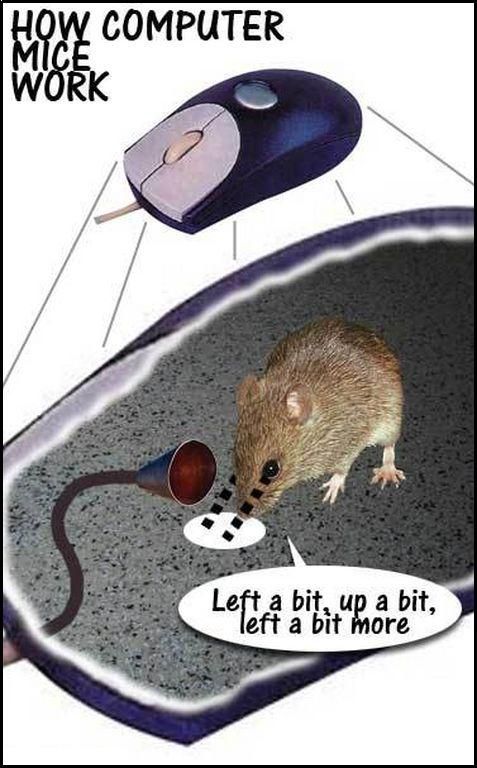 How a Computer Mouse Works (1 pic)