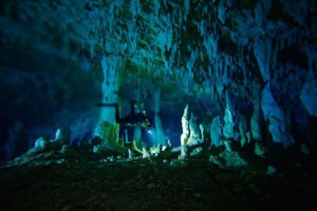 This is Bahamas Underwater (22 pics)