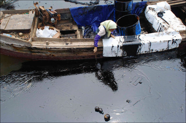 BareHands CleanUp of an Oil Spill (36 pics)