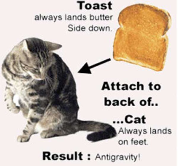 Cat and the Buttered Toast Paradox (1 pic)