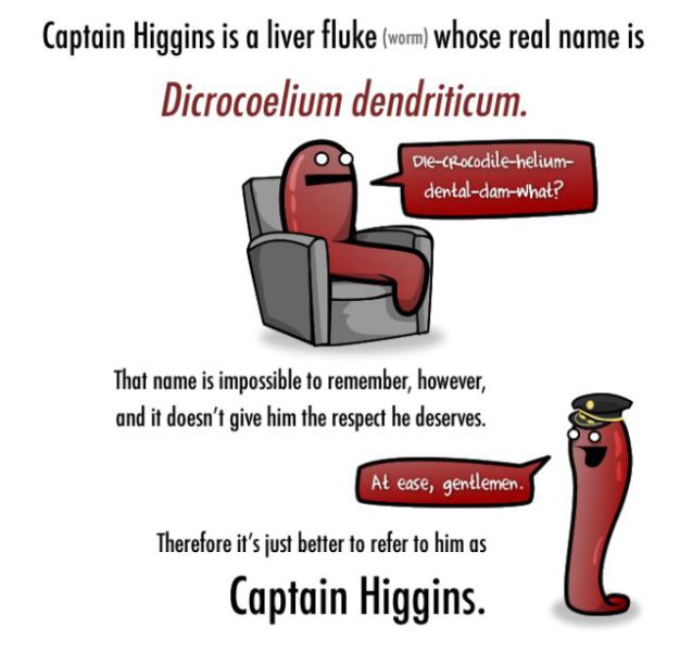 The Life of Captain Higgins (7 pics)