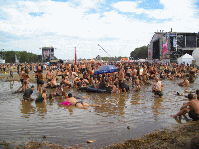 Woodstock Festival 2010 (9 gifs)