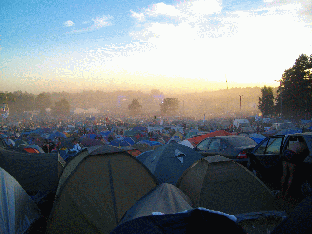 Woodstock Festival 2010 (9 gifs)