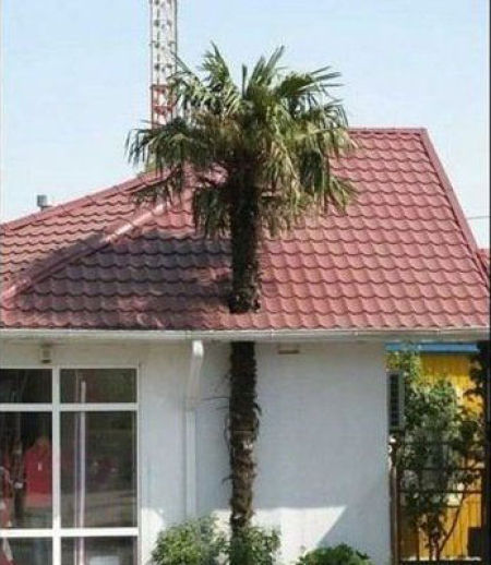 The Worst Constructions Ever (20 pics)
