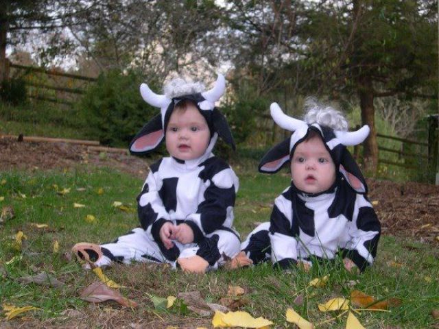 Such Sweet Twins (17 pics)