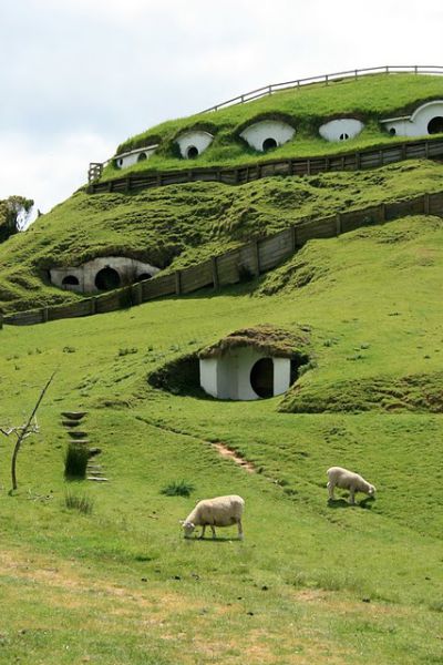 Hobbiton, for Sheep... (7 pics)