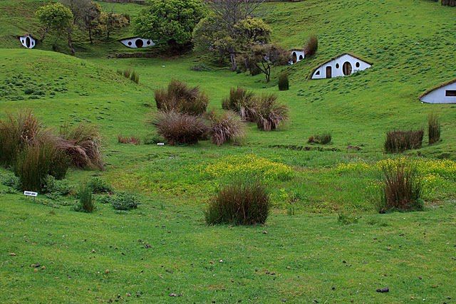 Hobbiton, for Sheep... (7 pics)