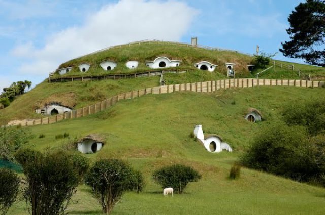 Hobbiton, for Sheep... (7 pics)