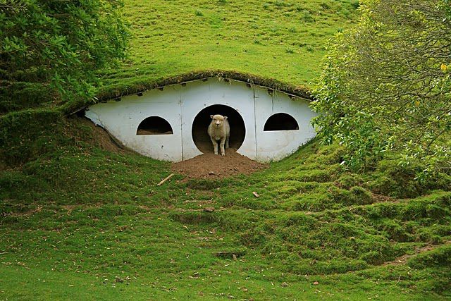 Hobbiton, for Sheep... (7 pics)