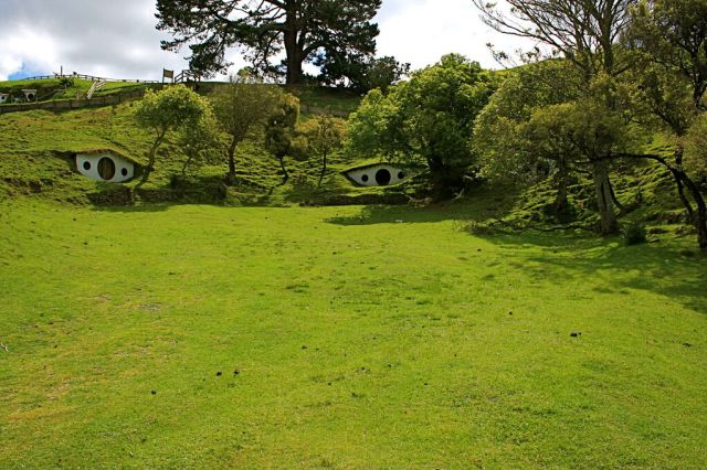 Hobbiton Is Now Home for the Sheep (35 pics)