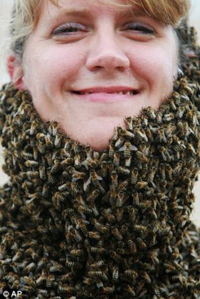 To Bee or Not To Bee (6 pics)