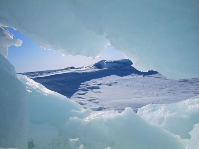 Amazing Arctic (25 pics)