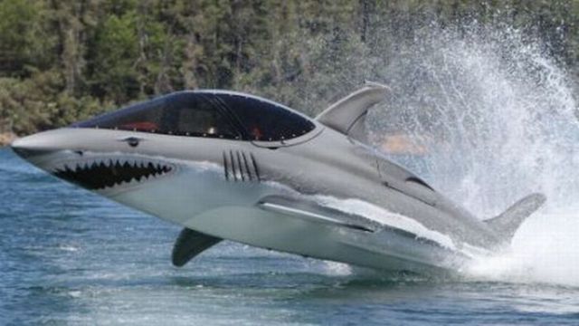 Jawride - Would You Ride a Shark? (9 pics)