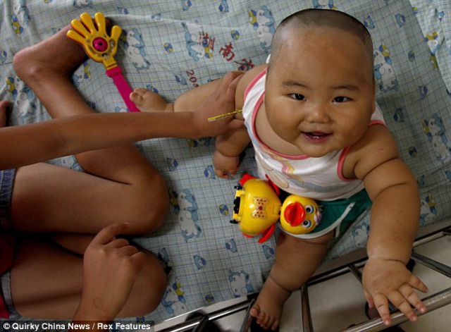 Chubby Chinese Baby (4 pics)
