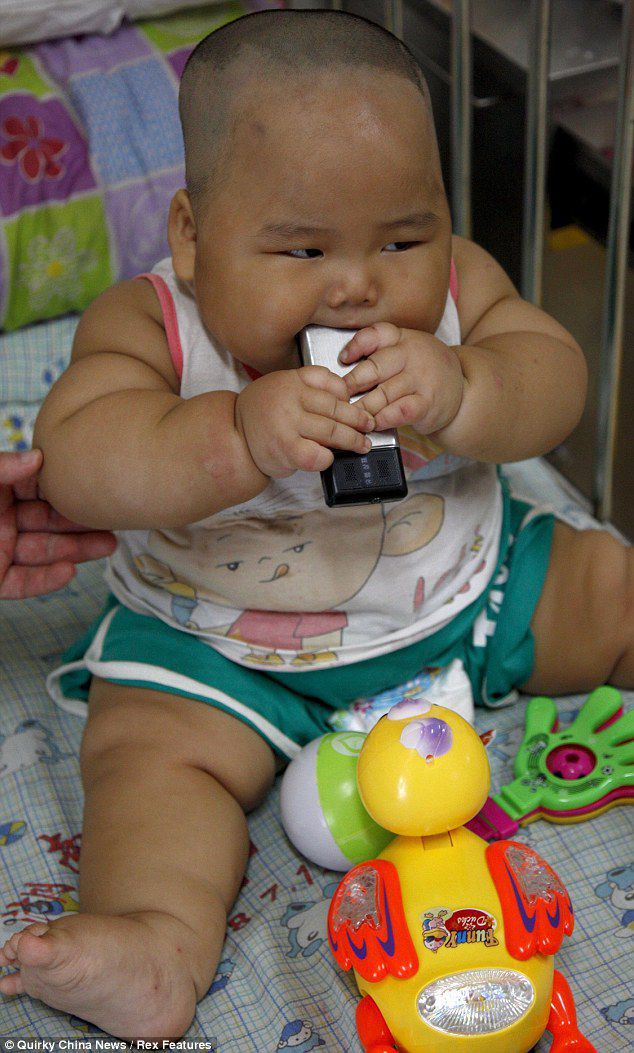 fat chinese babies