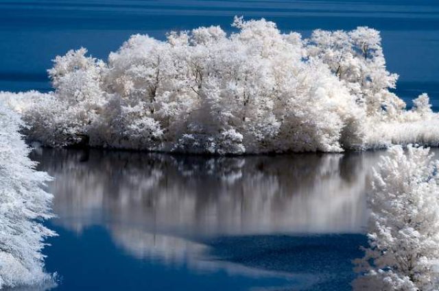 Amazing Infrared Pictures. Part 3 (41 pics)