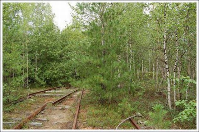 Abandoned Track and Train (45 pics)